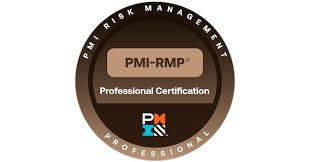 Risk Management Professional